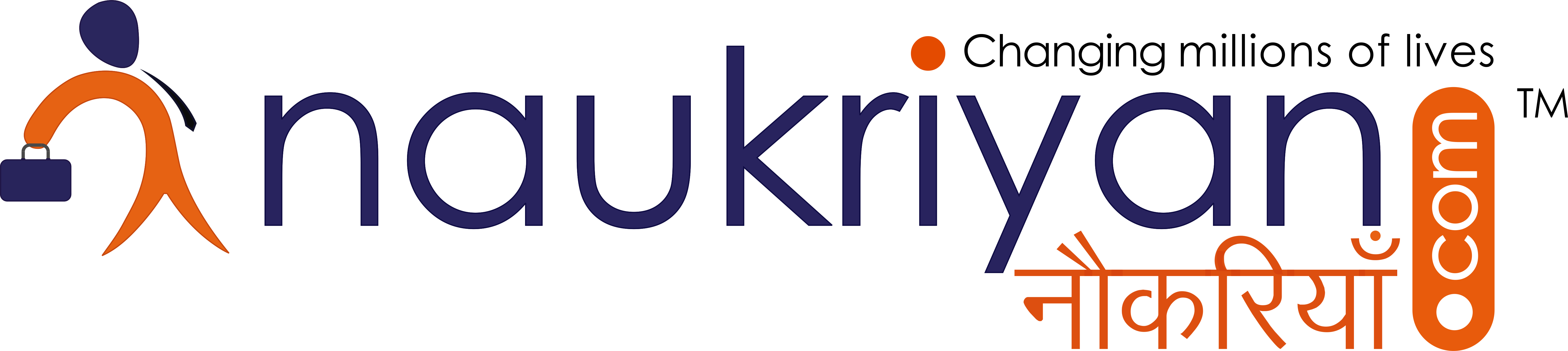 naukriyan Logo